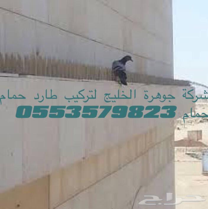 شركة مكافحة حمام تركيب طارد حمام مكافحة حشرات