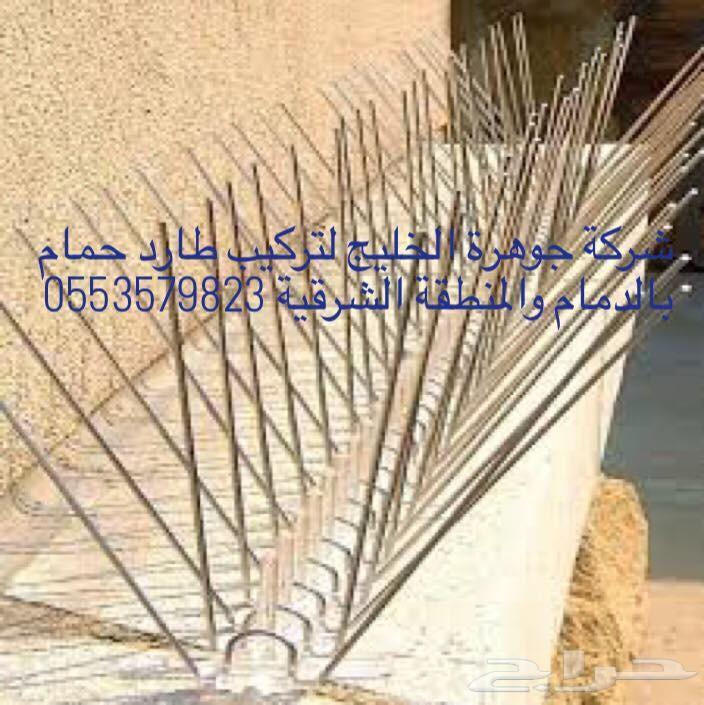 شركة مكافحة حمام تركيب طارد حمام مكافحة حشرات