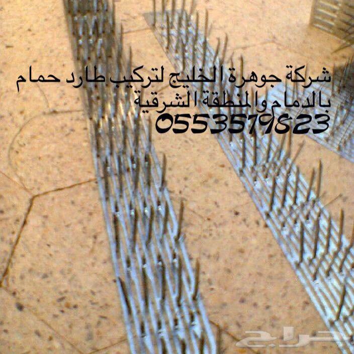 شركة مكافحة حمام تركيب طارد حمام مكافحة حشرات