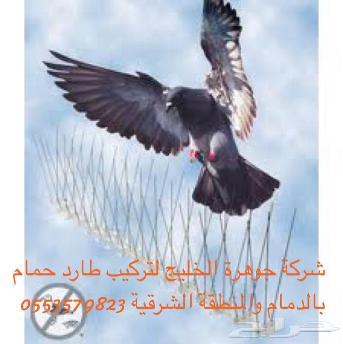 شركة مكافحة حمام تركيب طارد حمام مكافحة حشرات