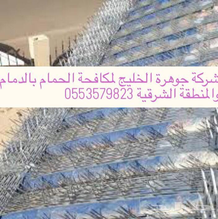 شركة مكافحة حمام تركيب طارد حمام مكافحة حشرات