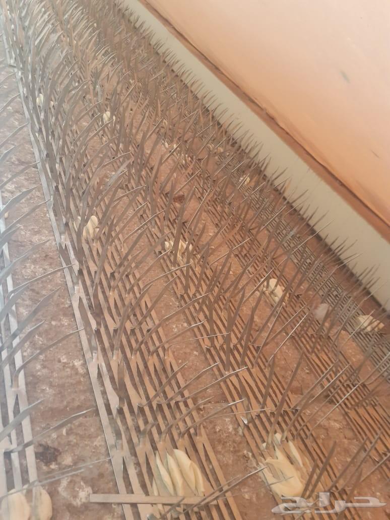 تركيب شبك حمام مكافحة الحمام بالشبك والطارد