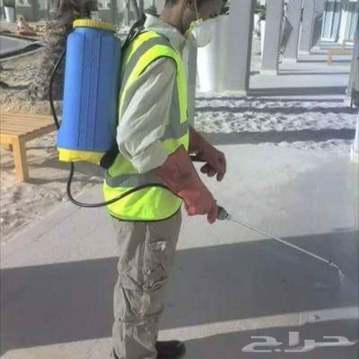 شركة مكافحة صراصير نمل ابيض بالشرقية