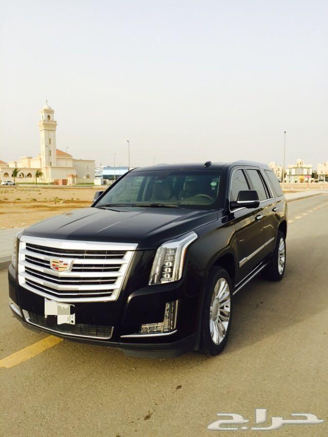 كاديلاك إسكاليد بلاتينيوم لعشاق الفخامة 2015