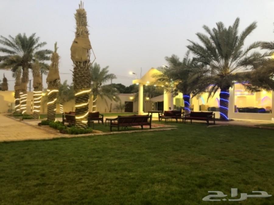 استراحة وشاليهات واحة الجود. فخمة