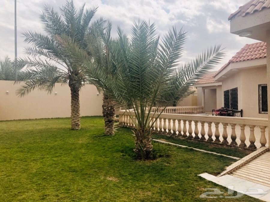 استراحة وشاليهات واحة الجود. فخمة