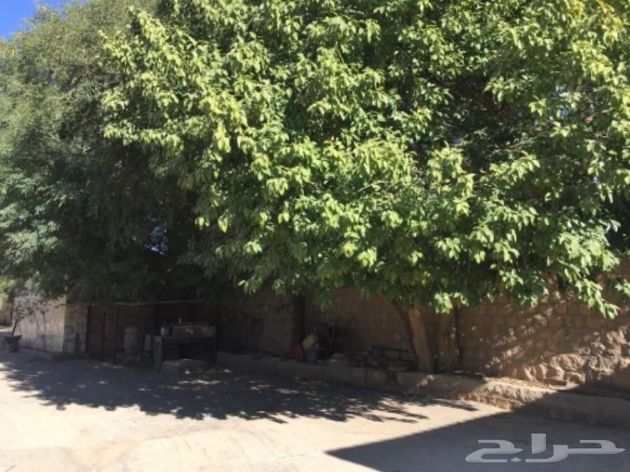 فيديو لأحواش في اول مخطط بالعمارية واستراحات