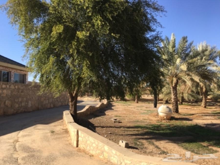 فيديو لأحواش في اول مخطط بالعمارية واستراحات
