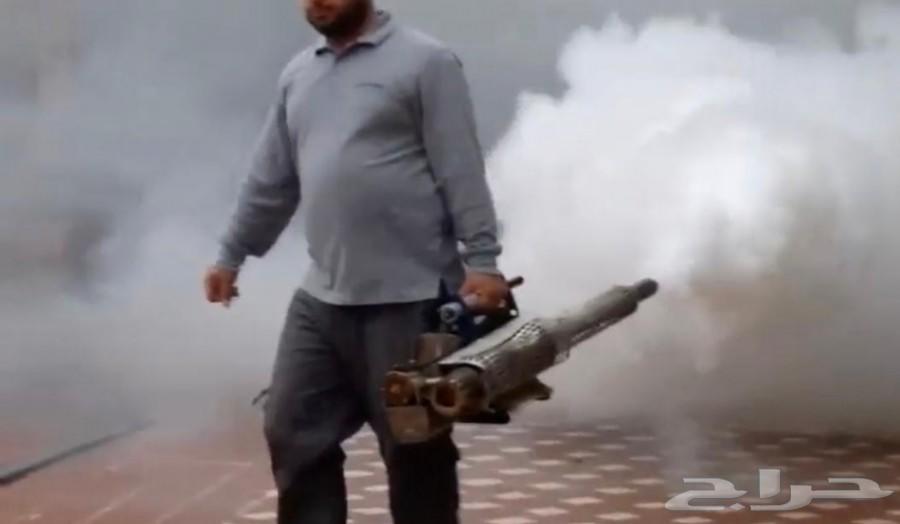 شركة رش مبيدات الصراصير الفئران النمل الفئران