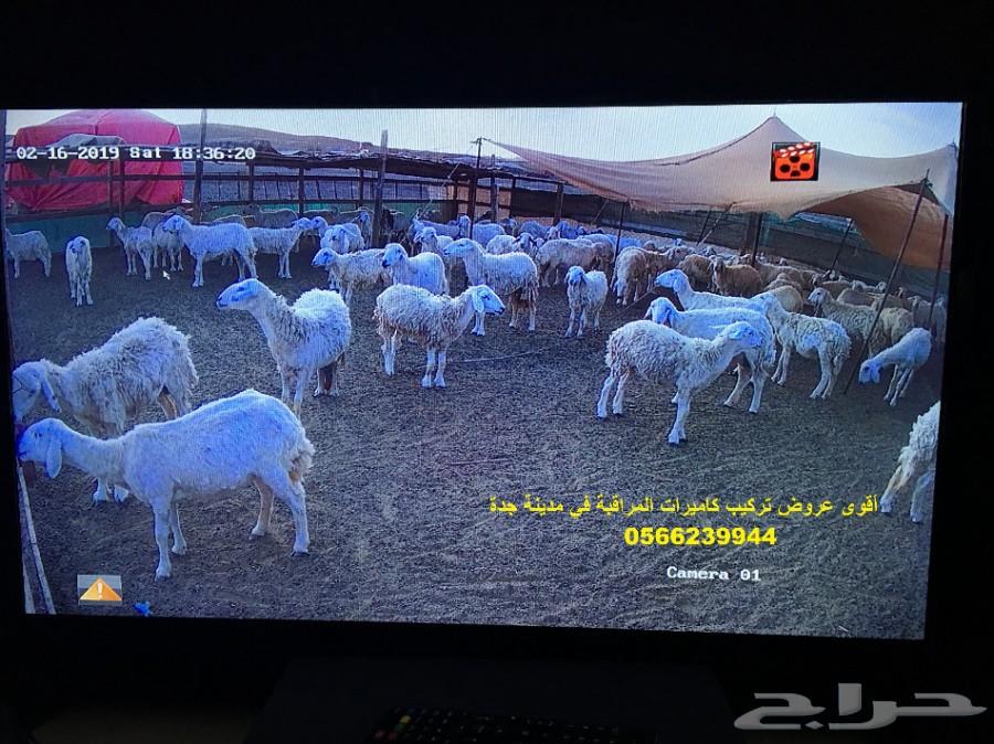 كمرات مراقبة Hikvision بأسعار منافسة