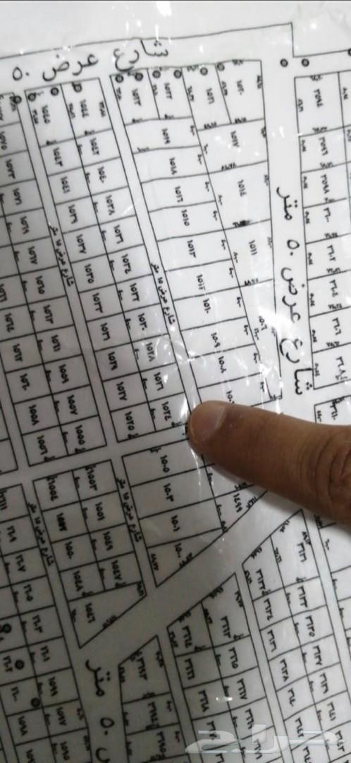 2000 متر مخطط الربيع ( 90 ألف ) بصك