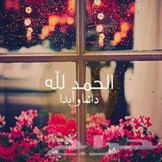الدمام فحم معسل