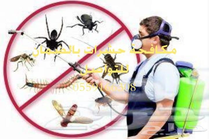شركة تعقيم بيوت شركات استراحات مكافحة حشرات ب