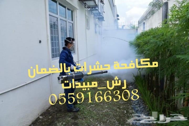 شركة تعقيم بيوت شركات استراحات مكافحة حشرات ب