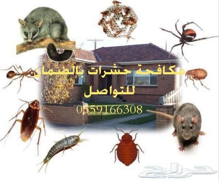 شركة تعقيم بيوت شركات استراحات مكافحة حشرات ب