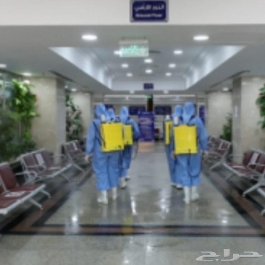 شركة تعقيم بيوت شركات استراحات مكافحة حشرات ب
