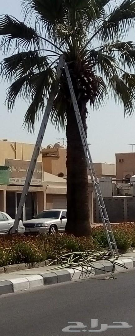 سلم الزامل