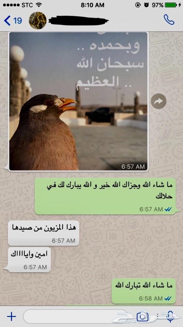 للبيع مصيدة طيور او فخ لصيد الطيور