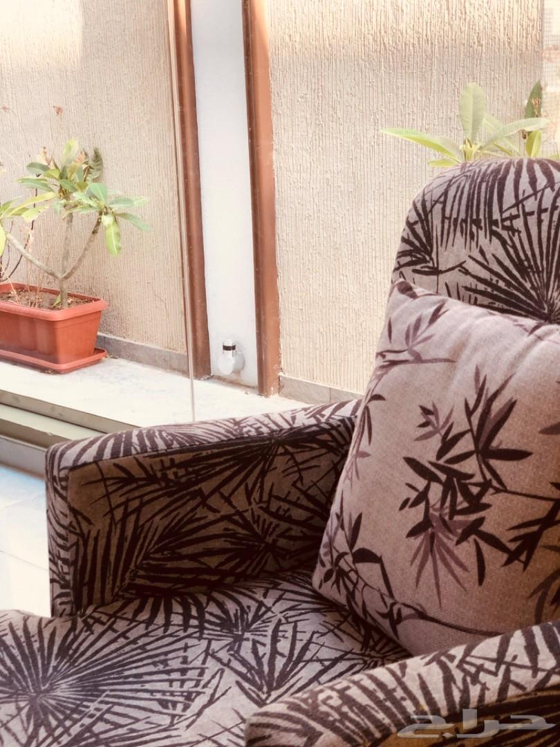 منتجع نورسين بالطائف للايجار