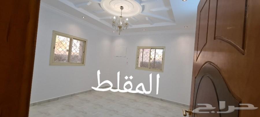 للإجار شقةفاخره جديده بالمؤتمرات كبري الصيانه
