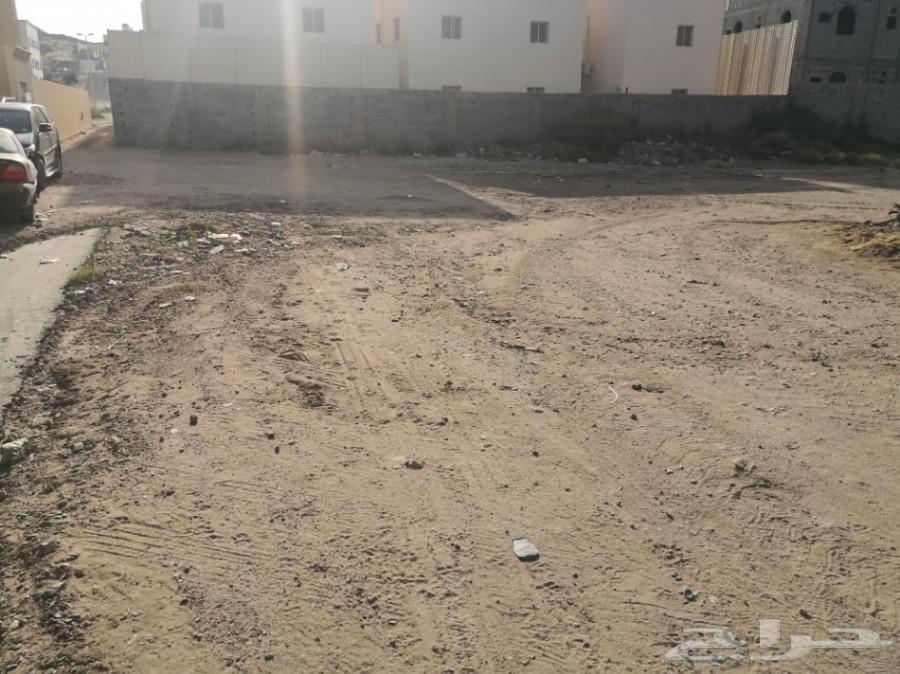 ارض 1223 m قرب نادي المعلمين