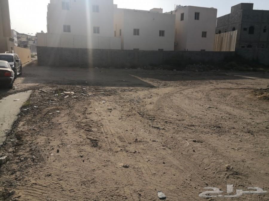 ارض 1223 m قرب نادي المعلمين