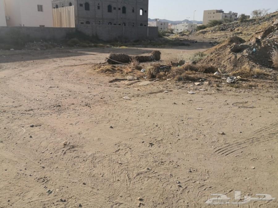 ارض 1223 m قرب نادي المعلمين