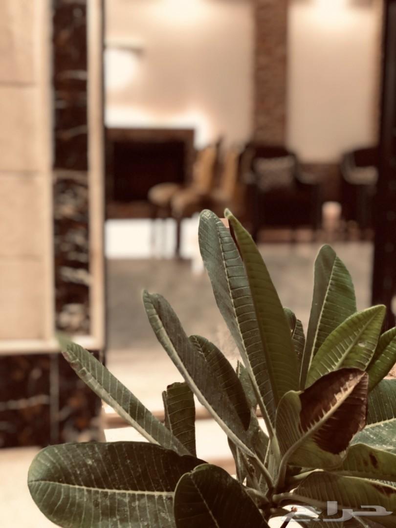 منتجع نورسين بالطائف للايجار
