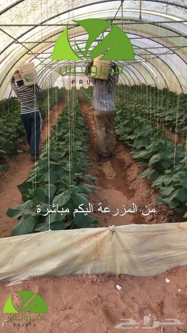 توريد خضار وفواكه جمله لجميع مناطق المملكة