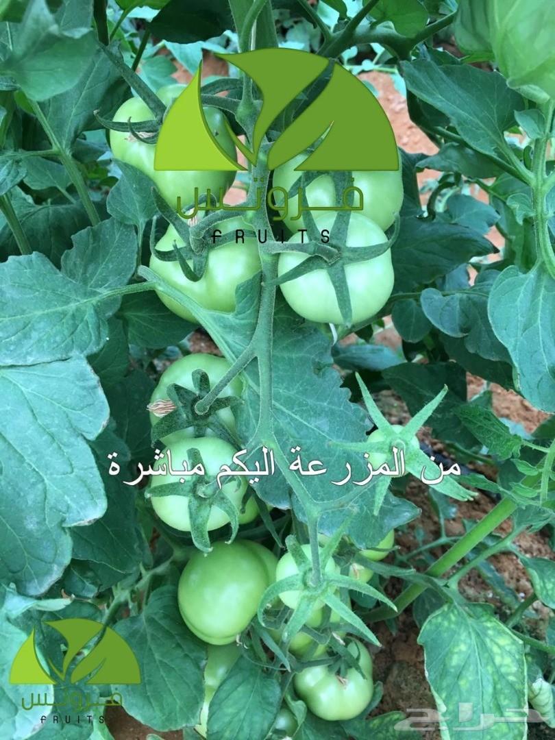 توريد خضار وفواكه جمله لجميع مناطق المملكة