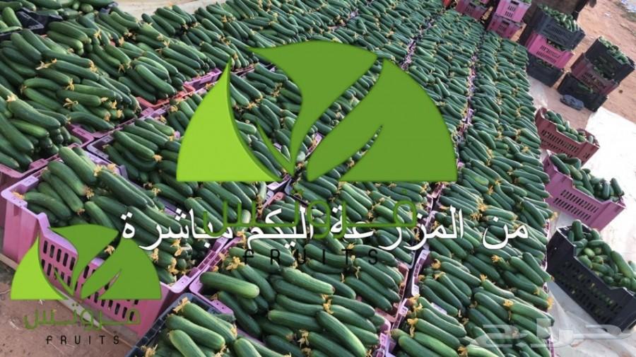 توريد خضار وفواكه جمله لجميع مناطق المملكة