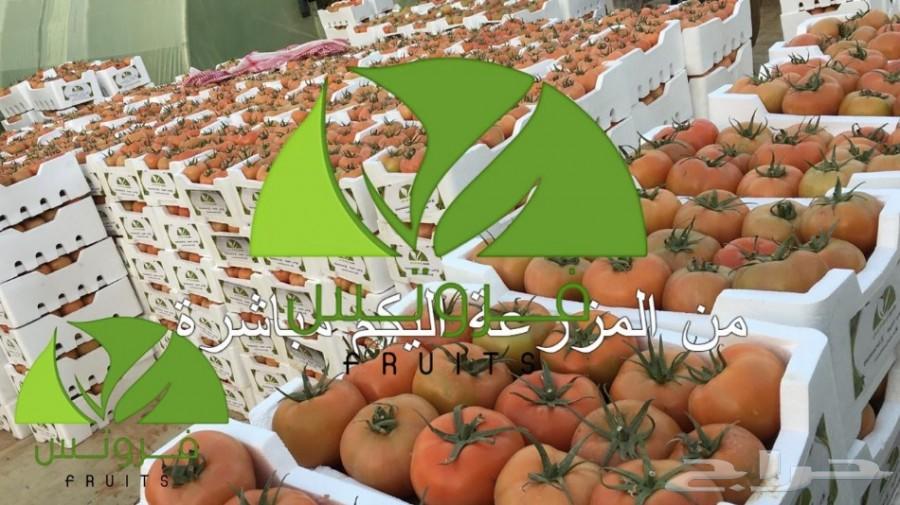 توريد خضار وفواكه جمله لجميع مناطق المملكة