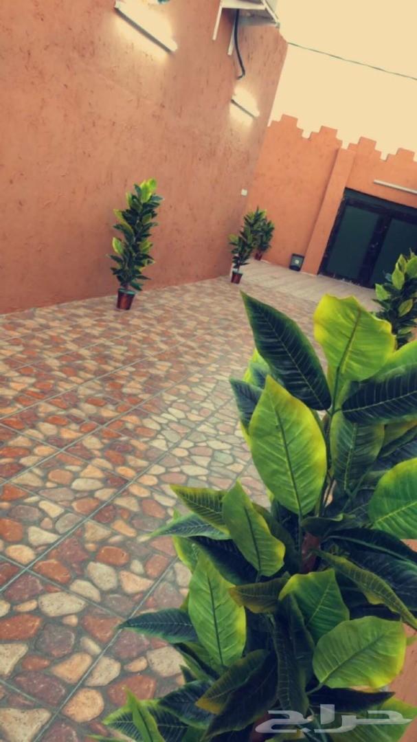 شاليهات بجوار محطه العوفي اسماك الحمراء