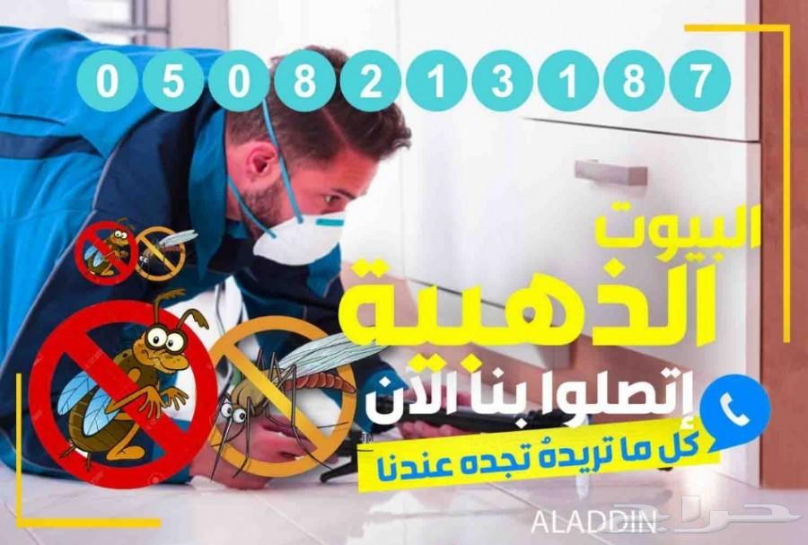 شركة مكافحة حشرات رش مبيدات الصراصير الوزغ