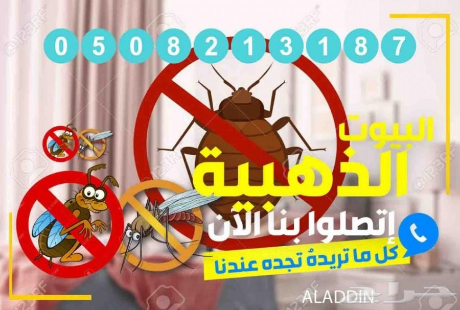 شركة مكافحة حشرات رش مبيدات الصراصير الوزغ