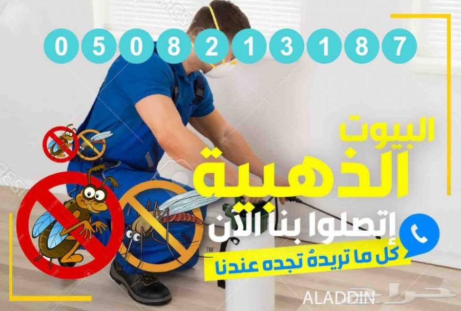 شركة مكافحة حشرات رش مبيدات الصراصير الوزغ