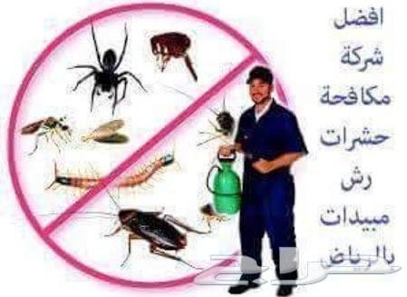 شركة مكافحة حشرات صراصير نمل نامس وزغ بورص
