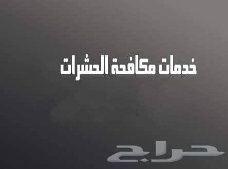 شركة مكافحة الصراصير بالمدينة المنورة بالضمان