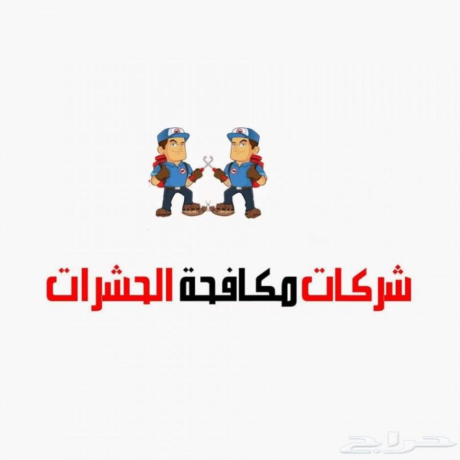 شركة مكافحة الصراصير بالمدينة المنورة بالضمان