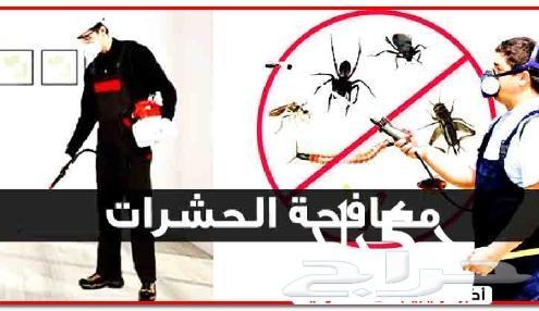 شركة مكافحة حشرات بالمنطقه الشرقيه