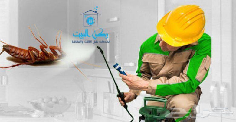 شركة مكافحة حشرات بالمنطقه الشرقيه