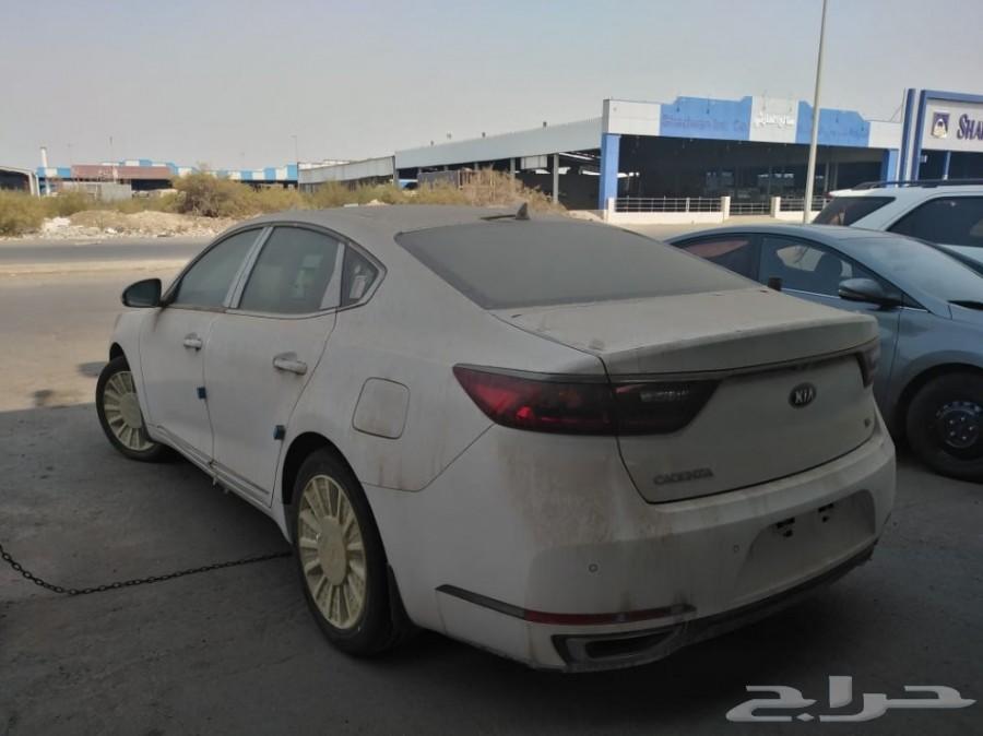 كادينزا 2020 بافضل الاسعار