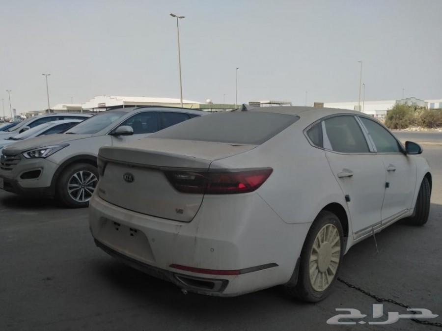 كادينزا 2020 بافضل الاسعار
