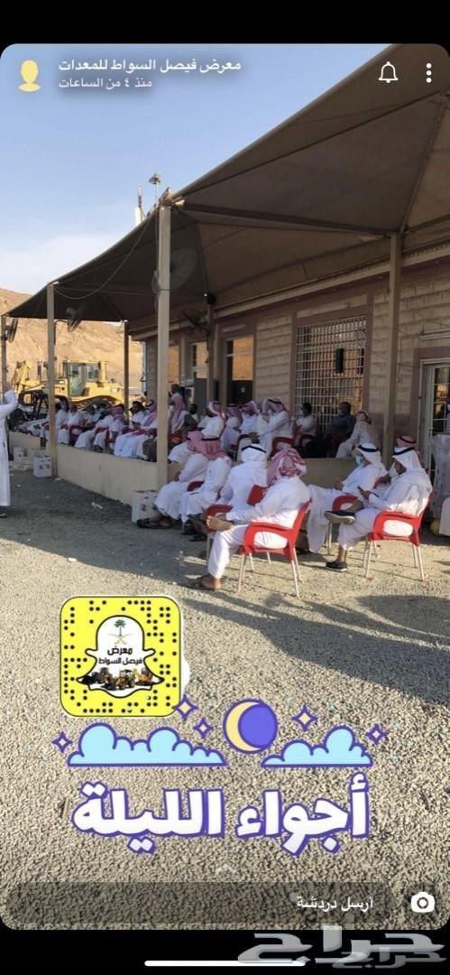 وصل حديثا2019بوبكات450معرض فيصل السواط