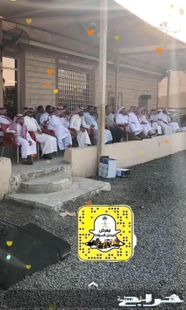 وصل حديثا2019بوبكات450معرض فيصل السواط