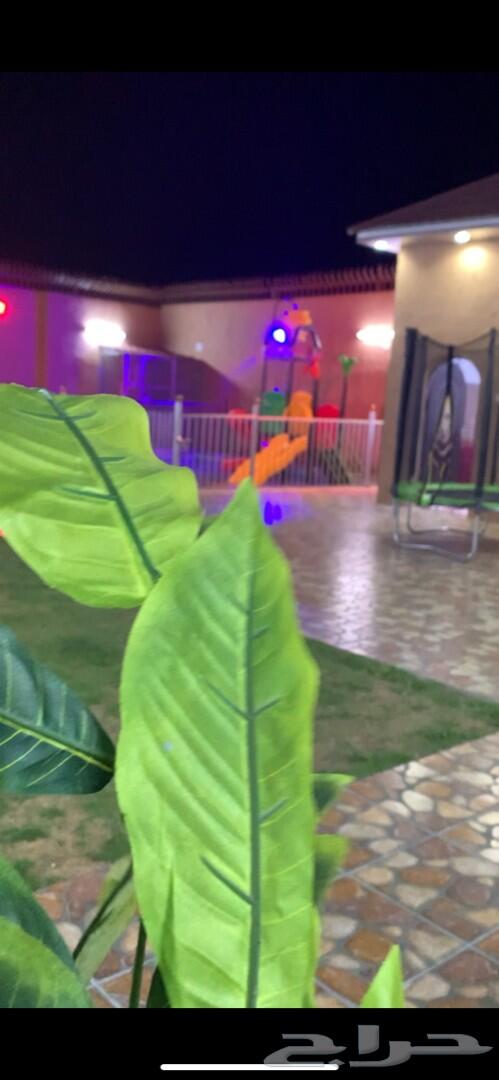 شاليه الاميرات