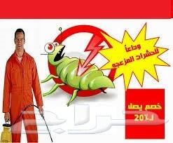 شركة مكافحة حشرات ورش مبيدات وتعقيم بالدمام