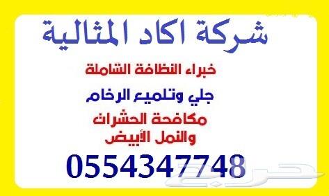 شركة مكافحة حشرات ورش مبيدات وتعقيم بالدمام
