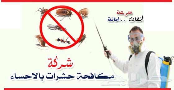 شركة مكافحة حشرات ورش مبيدات وتعقيم بالدمام