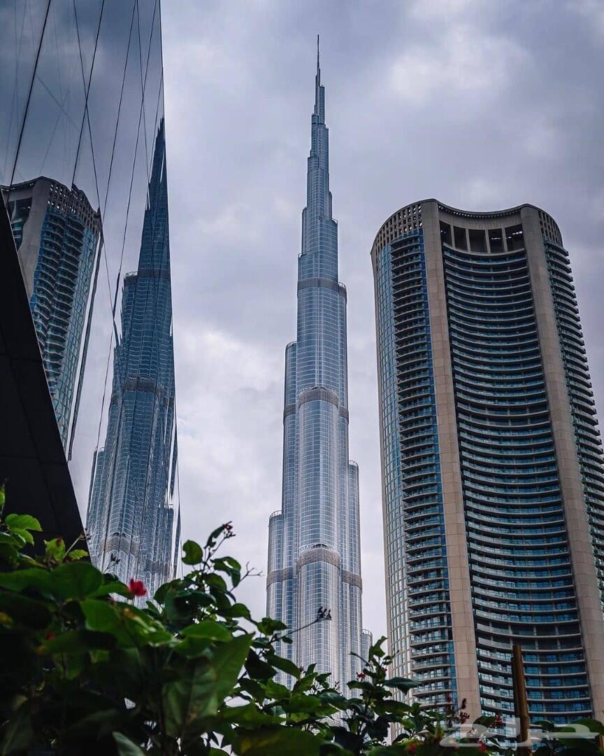 معقبك في الامارات